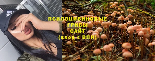 марки nbome Горняк