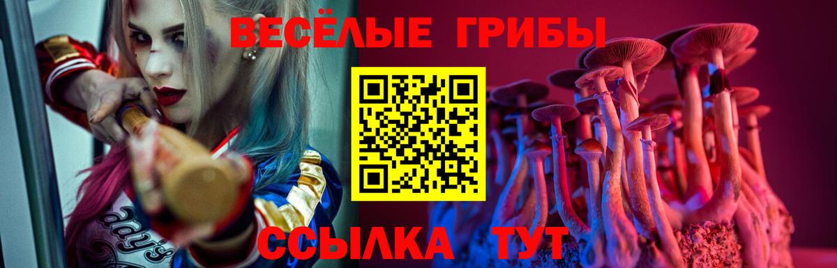 Дятьково  Галлюциногенные грибы Magic Shrooms  Псилоцибиновые грибы MAGIC MUSHROOMS  Вход с VPN 